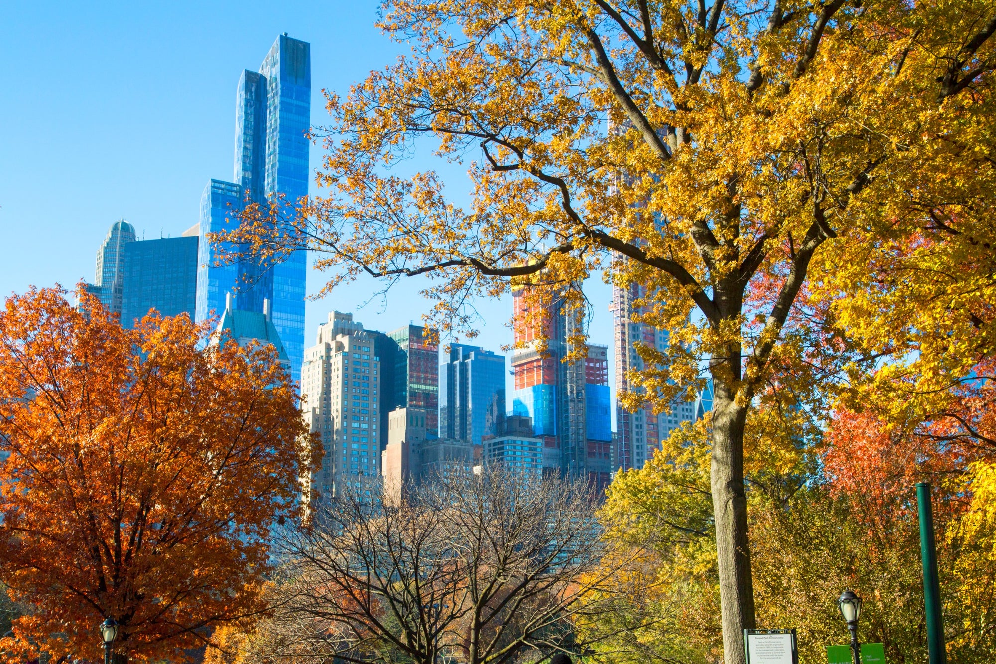 New York skyline view from Central Park in the fall