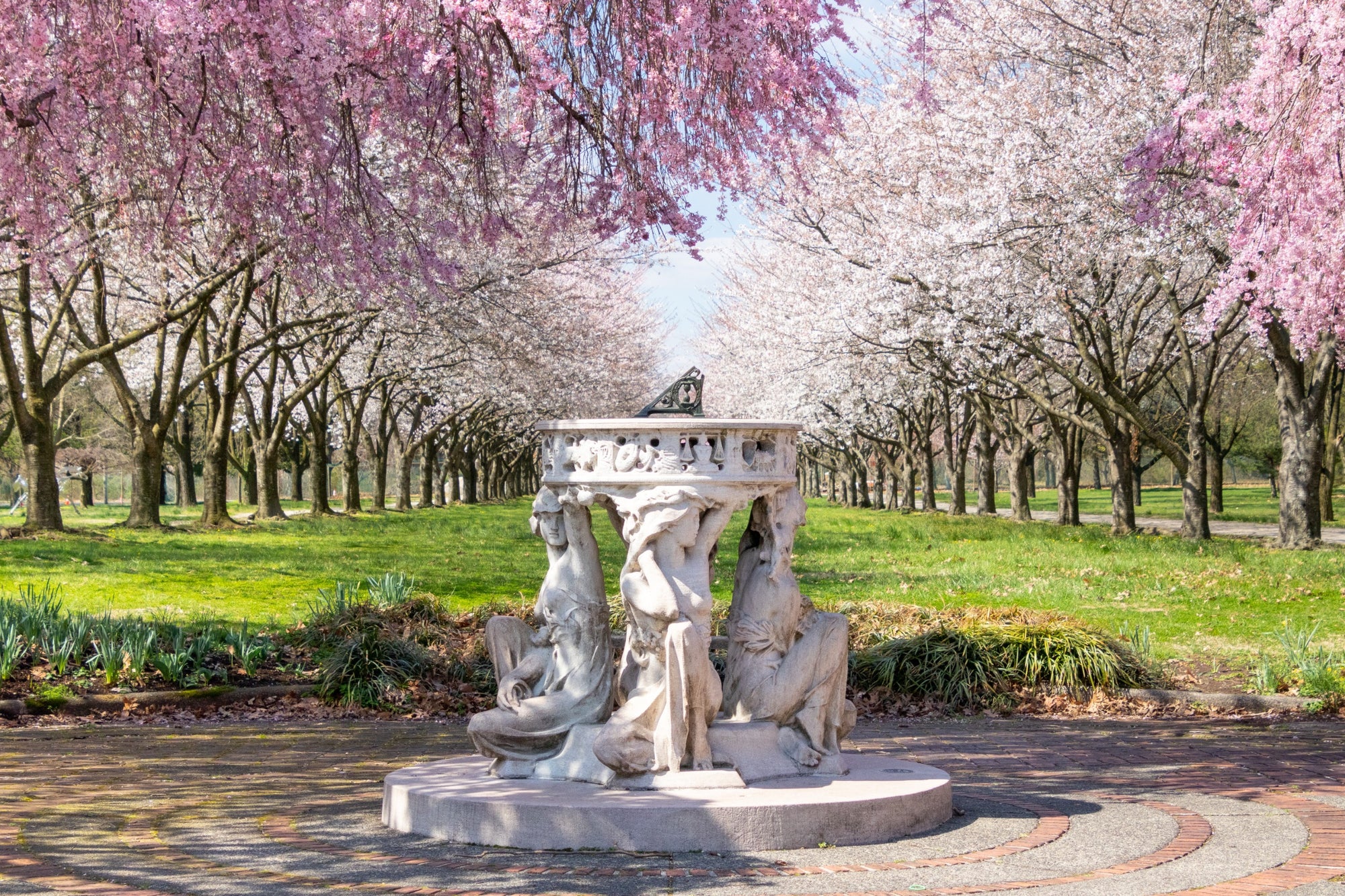 Sundial and cherry blossoms in Philadelphia's Fairmount Park