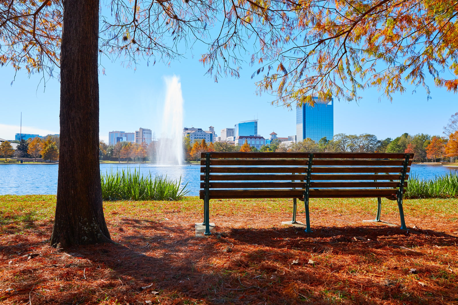View of McGovern Lake at Hermann Park in Houston, TX