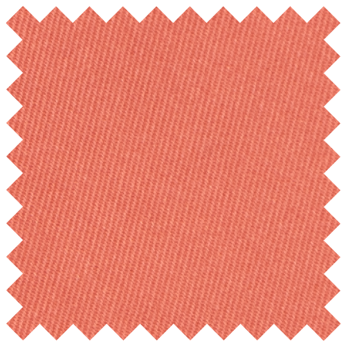 Coral Pink Swatch