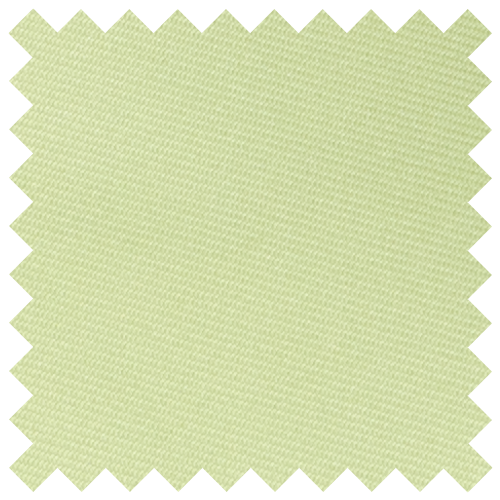 Light Green Swatch