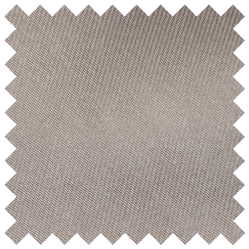 Mercury Grey Swatch