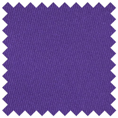 Regency Purple Swatch