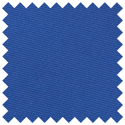 Royal Blue Swatch