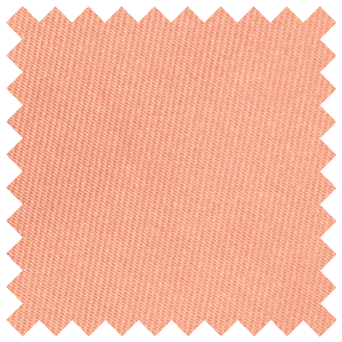 Salmon Pink Swatch