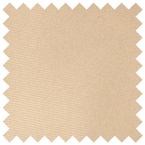 Sandcastle Beige Swatch