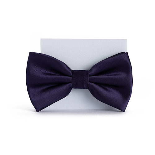 Lapiz Purple Bow Tie