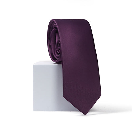 Eggplant Purple Neck Tie